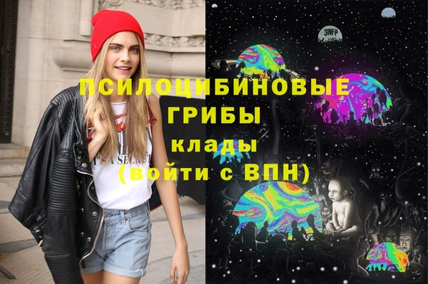 spice Алексин