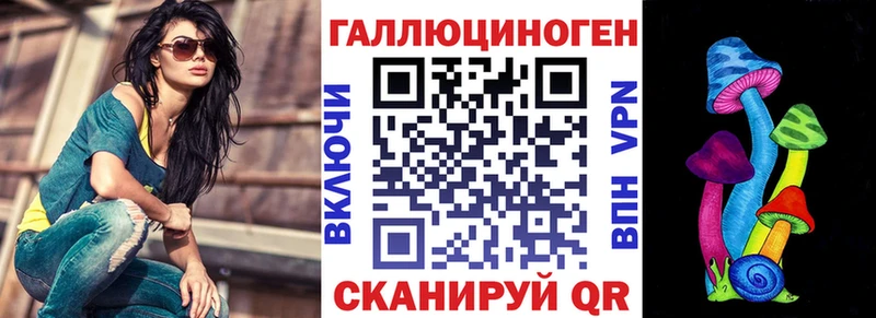 OMG tor  Инсар  Галлюциногенные грибы Cubensis 